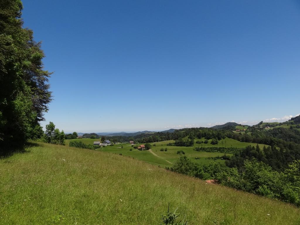 Villa Haus Am Sternsberg Sternenberg Esterno foto